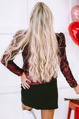 Solid Sequin Mock Neck Long Sleeve Top