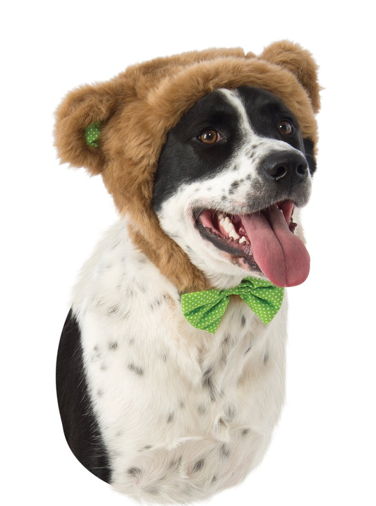 Pets Teddy Bear Hood Costume Accessory