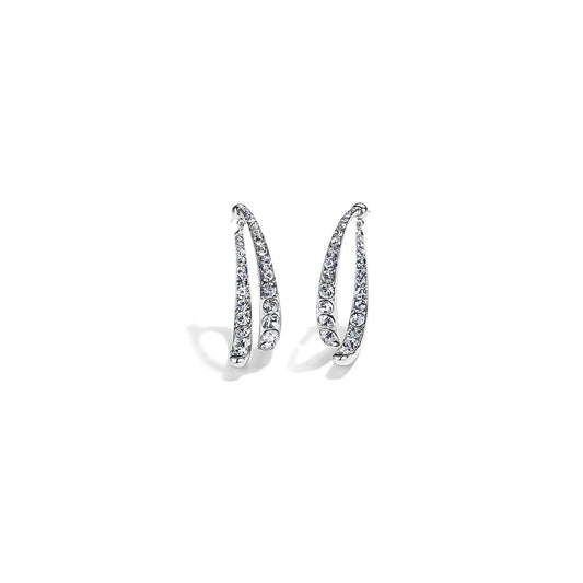Bright Fishtail Silver Earrings-1