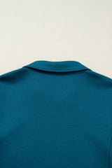 Keily Zip Collared Mini PLUS Dress