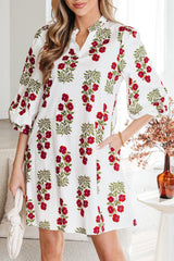 Catalina Sleeve Loose Mini Dress