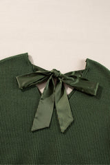 Bow Back Lantern Sleeve V-Neck Sweater