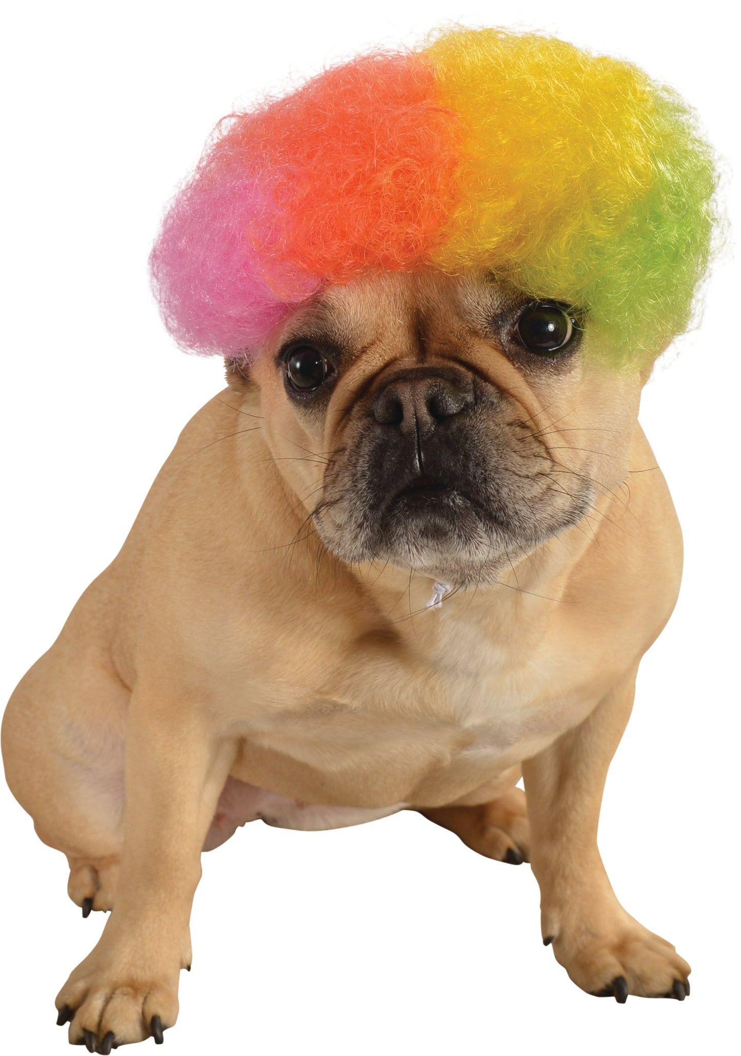 Pets Rainbow Afro Wig Costume Accessory