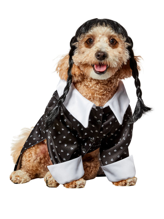 Pets Addams Family Wednesday Addams Costume