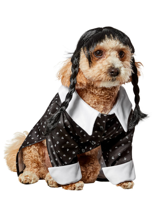 Pets Addams Family Wednesday Addams Costume