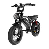 Windhorse V8MINI